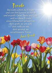 Dietrich Bonhoeffer - Postkarten: Freude, 4 Stück Postkarten: Freude, 4 Stück