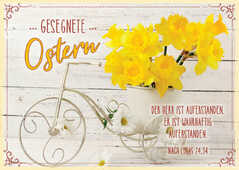 Minikarten "Gesegnete Ostern" Narzissen - 12 Stück
