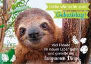 Faltkarte - Liebe Wünsche zum Geburtstag! Faltkarte - Liebe Wünsche zum Geburtstag!