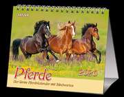 Pferde 2020 - 2 in 1-Tischkalender Pferde 2020 - 2 in 1-Tischkalender