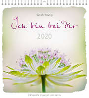 Sarah Young - Ich bin bei dir 2020 - Postkartenkalender Ich bin bei dir 2020 - Postkartenkalender
