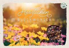 Teekarte - Herzlichen Glückwunsch Teekarte - Herzlichen Glückwunsch