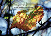 Postkarte "Gottes Licht" - 5 Stück Postkarte "Gottes Licht" - 5 Stück