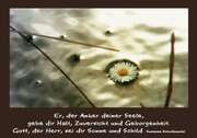 Faltkarte "Er, der Anker deiner Seele..." - 5 Stück Faltkarte "Er, der Anker deiner Seele..." - 5 Stück