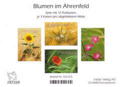 Postkartenserie Blumen im Ährenfeld, 12 Stück