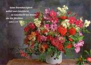 Postkartenserie Geburtstag - 12 Stück Postkartenserie Geburtstag - 12 Stück