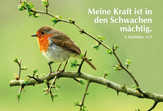 Meine Kraft ist in den Schwachen mächtig - "Motiv Vogel" - Faltkarte Meine Kraft ist in den Schwachen mächtig - "Motiv Vogel" - Faltkarte